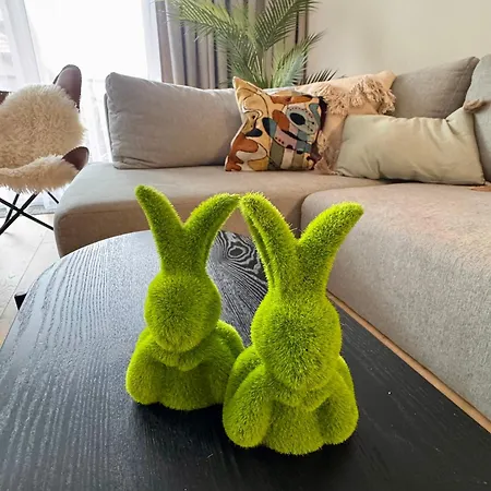 Vista Izera Apartmán *